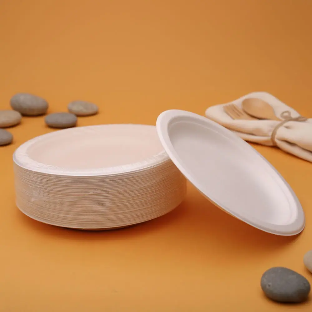 Ofislərdə və kafelərdə rahatlıq və təmizlik